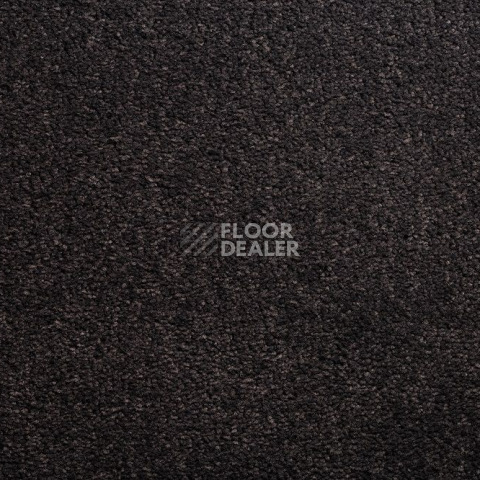 Ковролин Condor Carpets Bologna 78 фото 1 | FLOORDEALER
